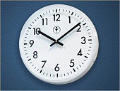 Часы вторичные серии СВС30.ДС24 (325 мм) самоустанавливающиеся